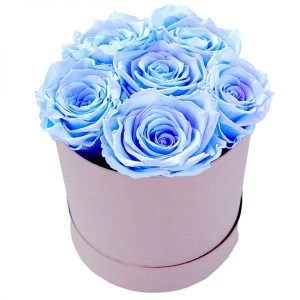 6x Rosen blau – Infinity Rose als Geschenkbox – Haltbare Rosen- | Flora Trans