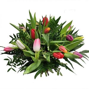 Tulpen – Blumenstrauß im Frühling | Flora Trans