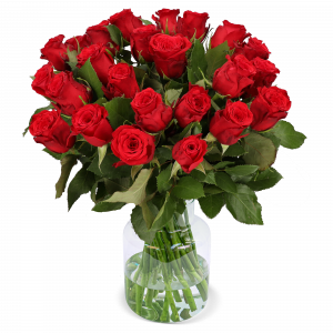 18 Rote Rosen | Blume Ideal