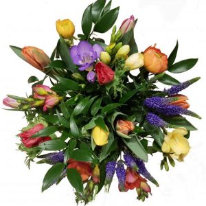 Leichter Frühling- | Flora Trans