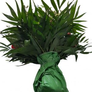 Flower Flora – bunter Strauß mit Germenis = 18 Blumen- xxl Groß | Flora Trans