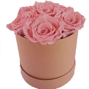 6x Infinity Rose Rosa als Geschenkbox – Haltbare Rosen | Flora Trans