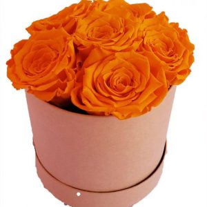 6x Rosen orange – Infinity Rose als Geschenkbox – Haltbare Rosen- | Flora Trans