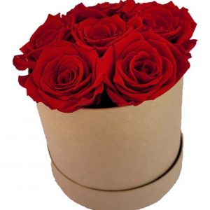 6x Infinity Rose Rot als Geschenkbox – Haltbare Rosen- | Flora Trans