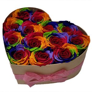 Rosen Rainbow – Herz mit Infinity Rose als Geschenkbox – Haltbare R… | Flora Trans
