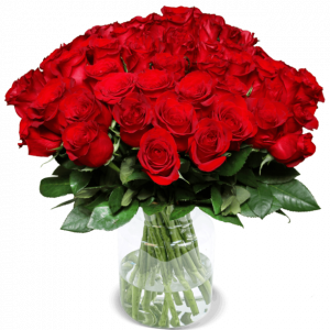31 Rote Rosen | Blume Ideal