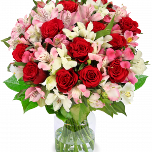 Liebesgruß mit bis zu 40 Blüten | Blume Ideal