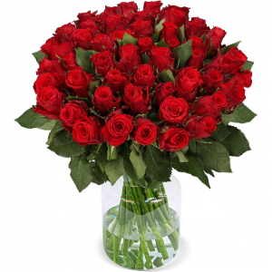 50 rote Rosen | Blume Ideal
