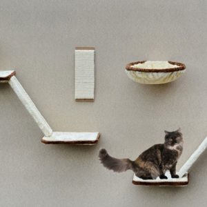 Silvio Design Katzen-Kletterwand 8-teilig, beige-braun, ca. 27x200x63 cm | Pflanzen Kölle