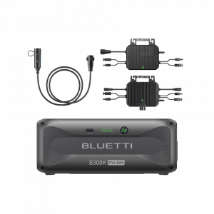 BLUETTI Gen 2 Balkonkraftwerk-Speicher | 800 W Leistung, A80P Mikrowechselrichter + 255 W*2 Flexibles Solarmodul / (Ohne Tax.) | Bluetti DE