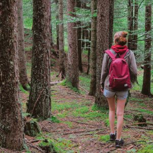 Entlang abenteuerlicher Felsformationen durch den Teutoburger Wald | erlebe.de/AKTIV