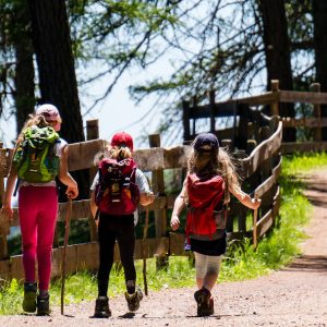Altmühltal mit Kindern – Rad und Kanufahren in Bayern | erlebe.de/AKTIV