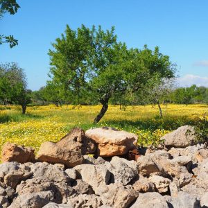 Durch das ruhige Hinterland der Algarve wandern | erlebe.de/AKTIV