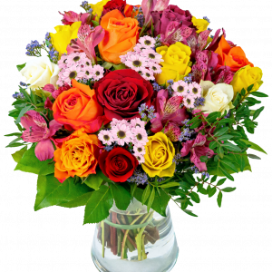 Farbtraum | Blume Ideal