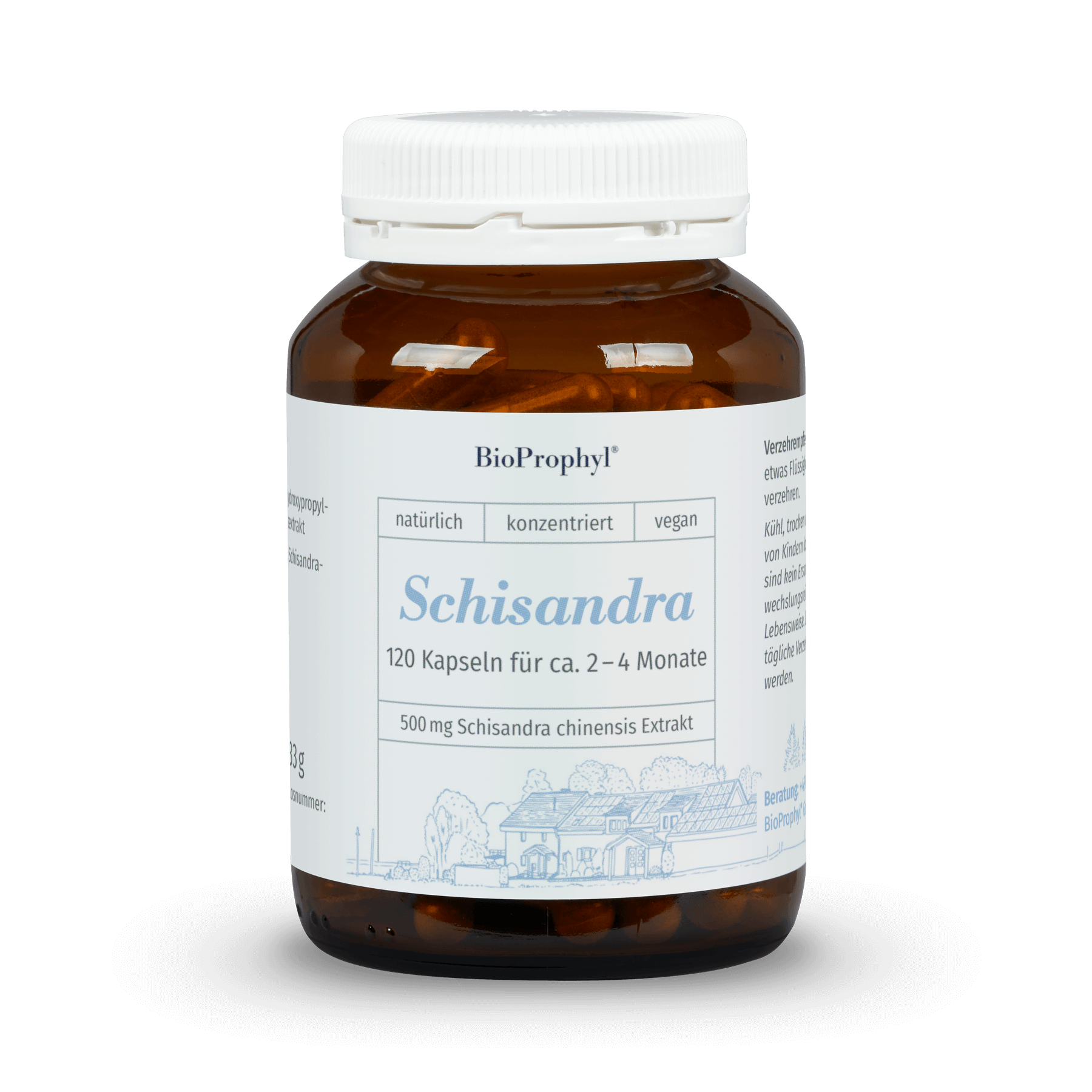 Schisandra | BioProphyl