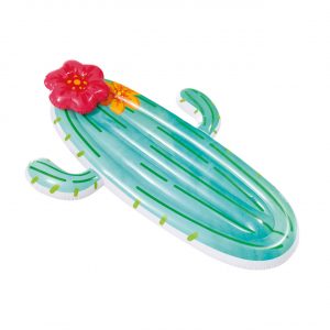 INTEX cactus Float | Rutscherlebnis-Shop