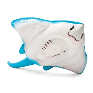 INTEX Stingray Ride-On | Rutscherlebnis-Shop