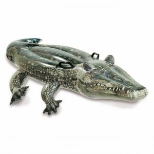 INTEX Reittier Alligator 170x86cm | Rutscherlebnis-Shop