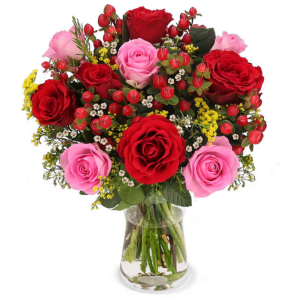Liebeszauber | Blume Ideal