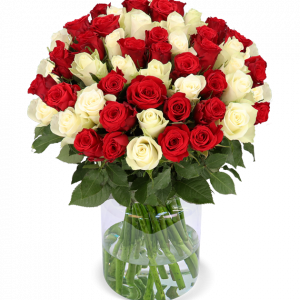 50 rot-weiß Rosen | Blume Ideal