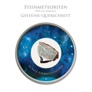 Steinmeteorit NWA Schnittstück | Mondland
