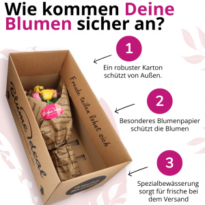 20 Premium Rosen | Blume Ideal