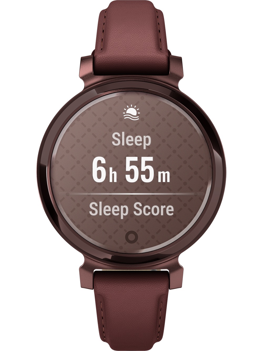 Garmin 010-02839-03 Lilly 2 | Timeshop24