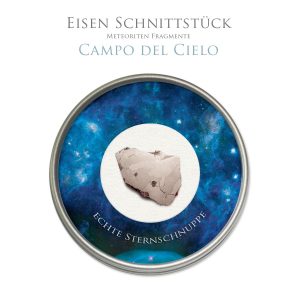 Eisenmeteorit Schnittstück Campo | Mondland