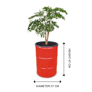 Blumenkübel industriell 200 Liter rot Ölfass Mörtelwanne | Barrelkings.com