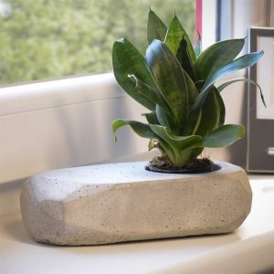 Geometrischer Blumentopf aus Beton für kleine Pflanzen – Raumzutaten.de | Online Shop | raumzutaten