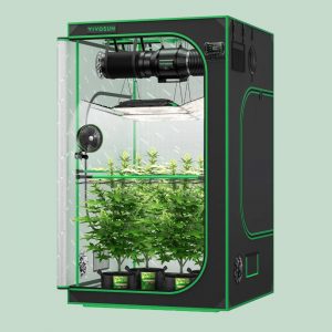 Growbox Komplettset 120x120x200 | happybuds