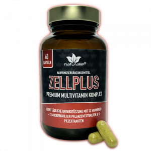 Multivitamin Kapseln mit potenten Pflanzen- und Pilzextrakten + Q10 – 60 Kapseln | naturalie.de