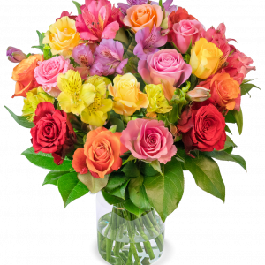 Rosenglück mit bis zu 40 Blüten | Blume Ideal